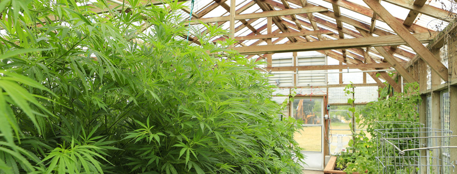 Security Solutions for Apartments in Dallas, TX